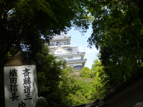 e0249526_62537.jpg