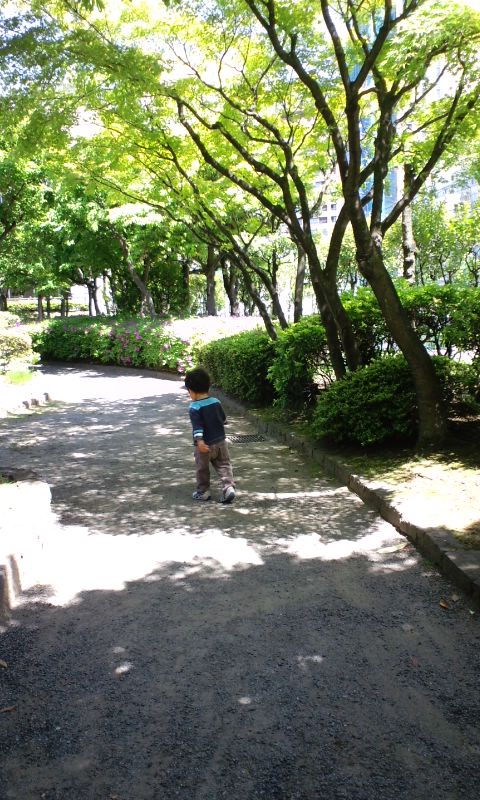 e0240129_15453545.jpg