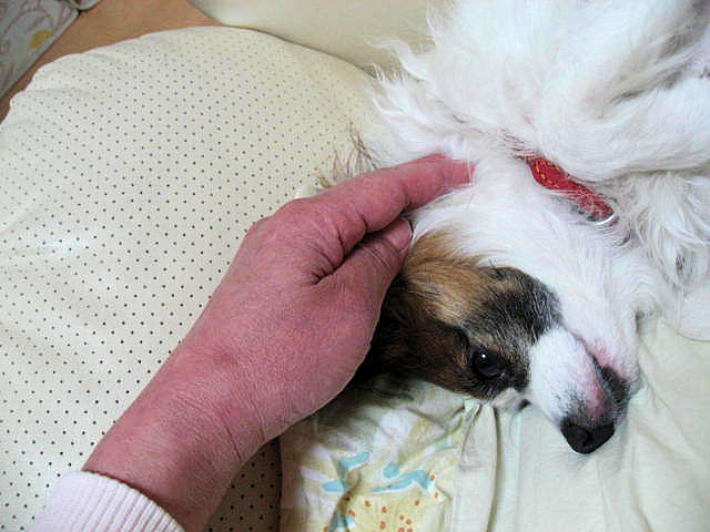 a0149240_13414187.jpg