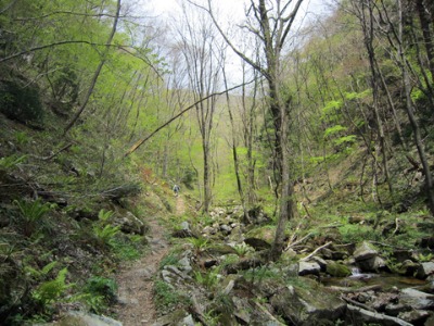e0110940_6552380.jpg