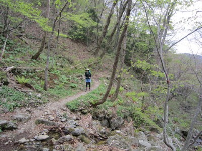 e0110940_7123216.jpg