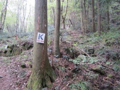 e0110940_7131359.jpg