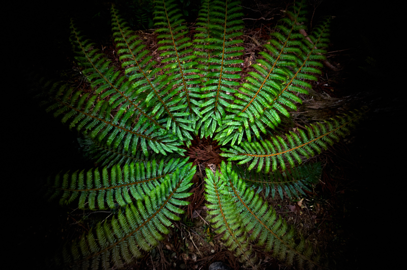e0321045_21532286.jpg