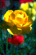b0232447_1394198.gif