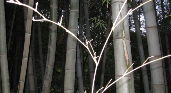 e0228147_275755.jpg