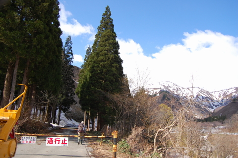 倉手山　イイデを見る　その１_b0189948_22225149.jpg