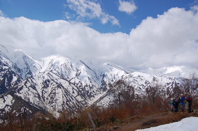 倉手山　イイデを見る　その１_b0189948_22263895.jpg