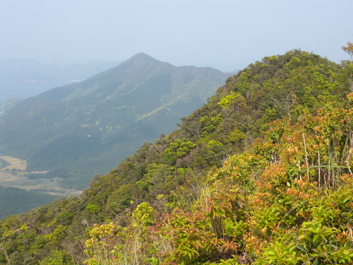 春山合宿_b0161750_23122486.jpg