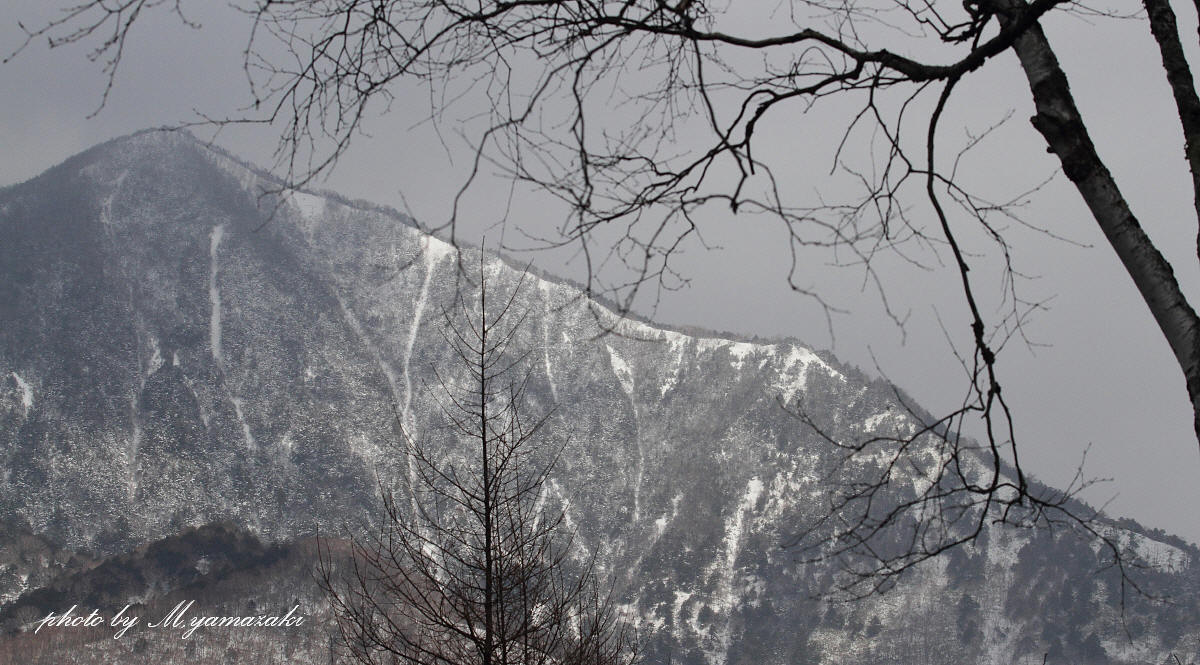 寒かったお山の記録　Ⅱ_c0217255_2130040.jpg