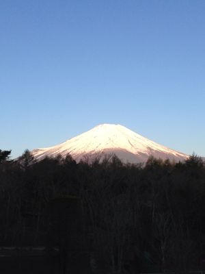 d0020358_1575581.jpg