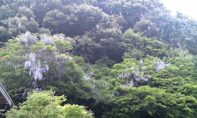 c0115560_15174854.jpg