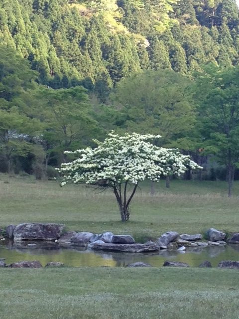 c0202860_21275345.jpg