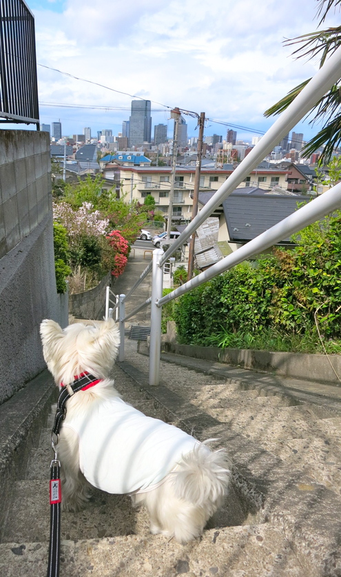 あなたはなに色?_c0260460_17191972.jpg