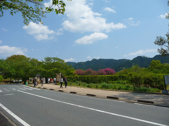 2013年 初夏の明日香_b0050968_11253939.jpg