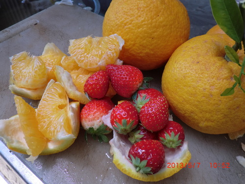 d0007071_23181071.jpg