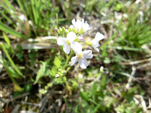 c0002874_21551274.jpg