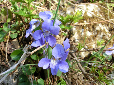 c0002874_2203923.jpg