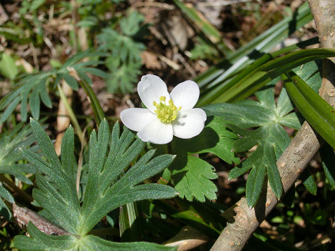 c0002874_22235067.jpg