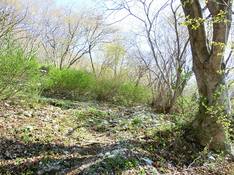 c0002874_2235337.jpg