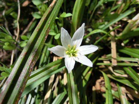c0002874_22394211.jpg