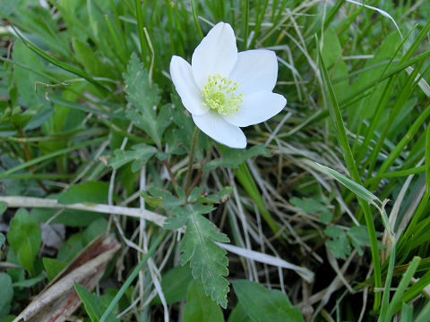 c0002874_22474274.jpg