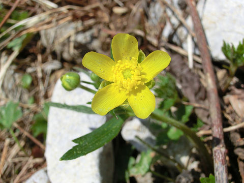 c0002874_2284343.jpg