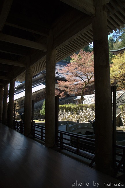 永平寺（1）_b0280176_1923510.jpg