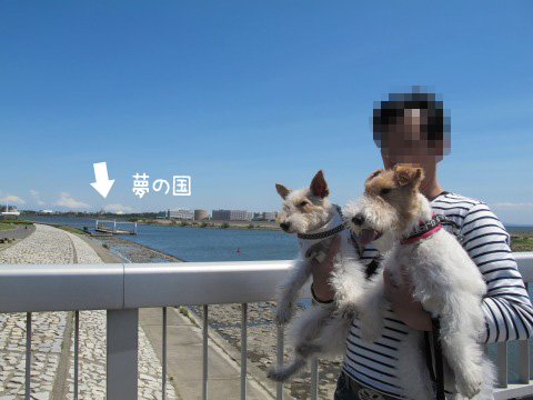 c0070377_22344338.jpg