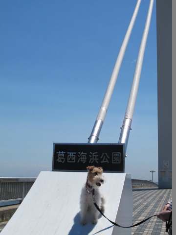 c0070377_22345722.jpg