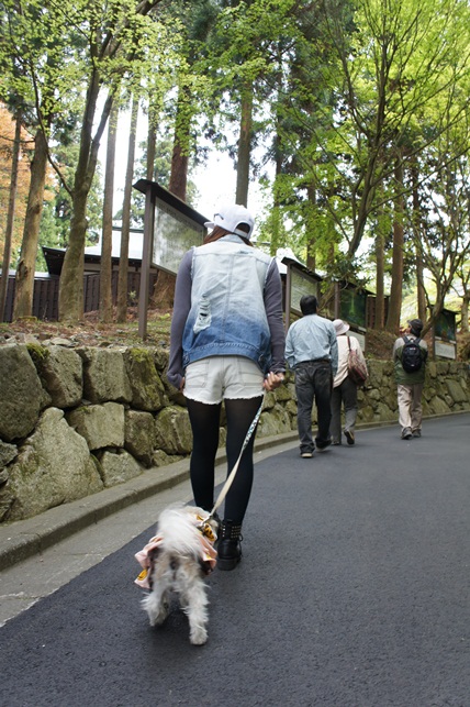 パワースポット比叡山延暦寺へ・・・_c0163878_14452839.jpg