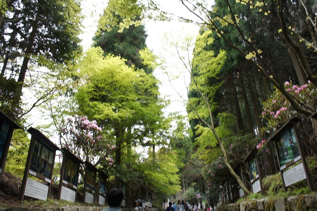 c0163878_14453725.jpg