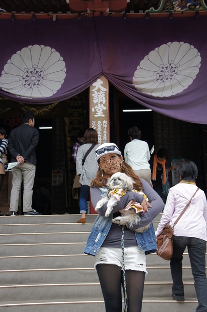 c0163878_1447322.jpg
