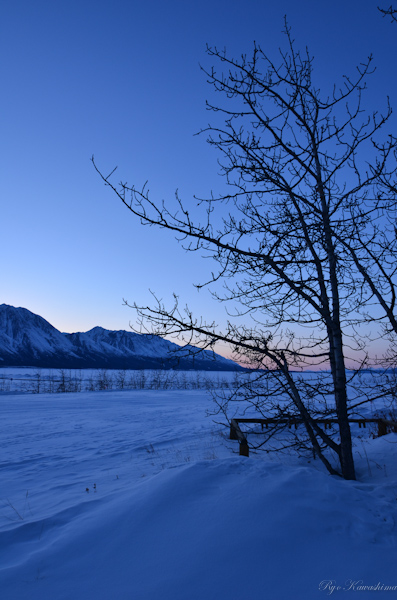 Winter scenery in Yukon Canada_b0110880_1640043.jpg