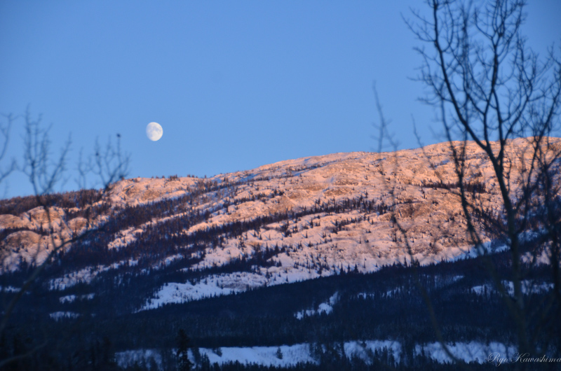 Winter scenery in Yukon Canada_b0110880_16491387.jpg