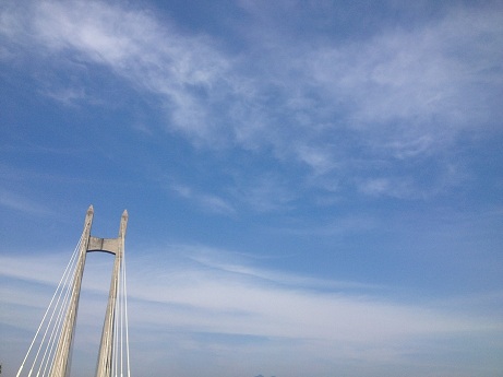 a0157081_1671978.jpg