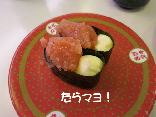 斑入り ソヨゴ 入荷！2ｍを超える商品は日本で1本だけ（ たぶん？）_b0200291_22582894.jpg