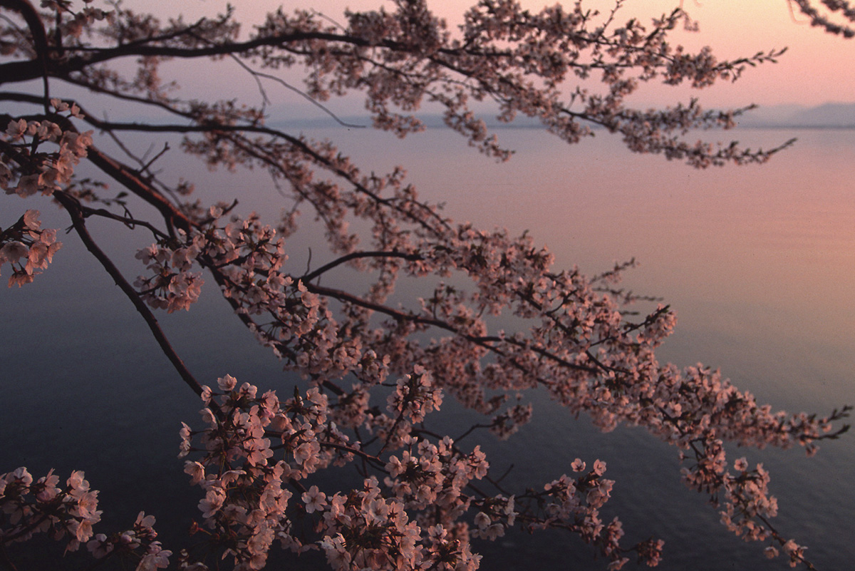 湖北の夕暮れ_d0014291_7354084.jpg