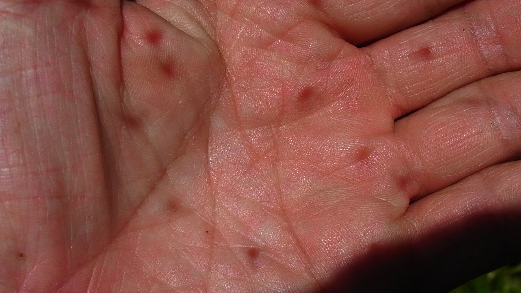a0152692_18142664.jpg