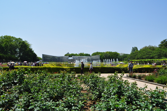 深大寺　緑いっぱい散歩①_d0226492_1038684.jpg