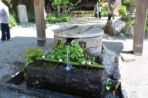 深大寺　緑いっぱい散歩①_d0226492_1061235.jpg