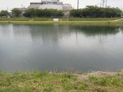 b0257093_187966.jpg