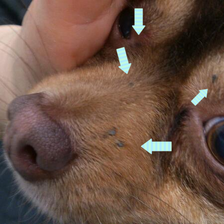 b0237894_17173791.png
