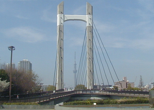 ●4年ぶりの東京、その3_d0053294_0433360.jpg