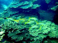 f0079996_14274691.jpg