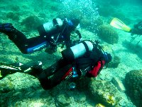 f0079996_1471162.jpg