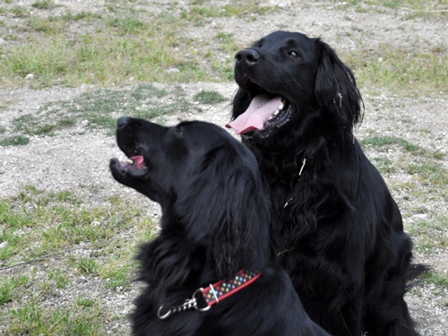 子供の日　＜フラット親戚会＞ Ⅱ  _f0176499_12431627.jpg