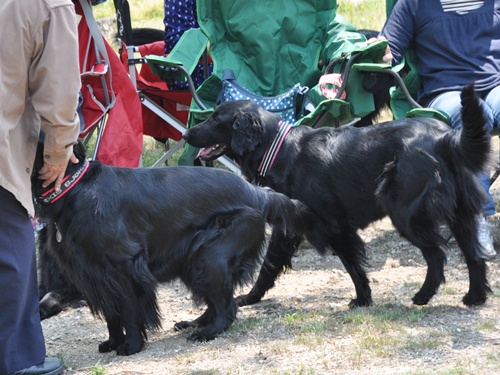 子供の日　＜フラット親戚会＞ Ⅱ  _f0176499_12491347.jpg