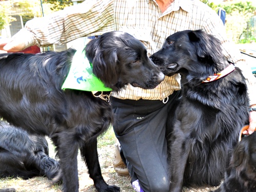 子供の日　＜フラット親戚会＞ Ⅱ  _f0176499_1256185.jpg