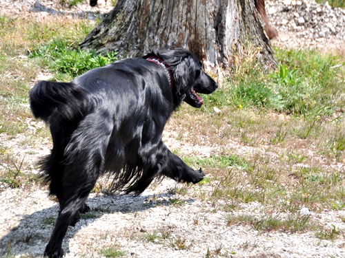 子供の日　＜フラット親戚会＞ Ⅱ  _f0176499_13525027.jpg