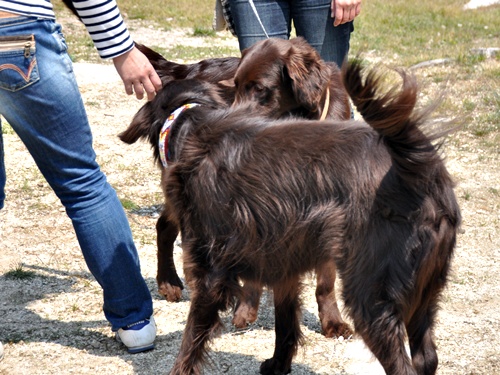 子供の日　＜フラット親戚会＞ Ⅱ  _f0176499_3425714.jpg